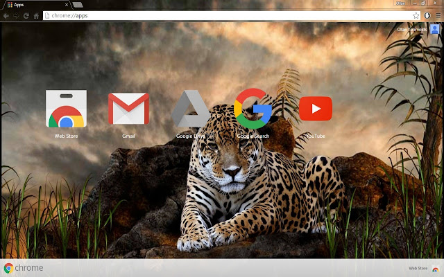 1080p HD Leopard from Chrome web store to be run with OffiDocs Chromium online 1080p HD Leopard from Chrome web store to be run with OffiDocs Chromium online