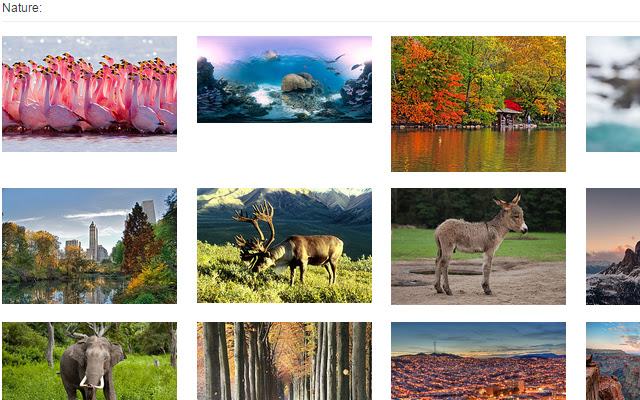 99puzzles.com NATURE from Chrome web store to be run with OffiDocs Chromium online 99puzzles.com NATURE from Chrome web store to be run with OffiDocs Chromium online