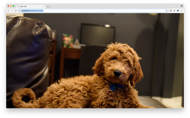 A Doodle A Day from Chrome web store to be run with OffiDocs Chromium online A Doodle A Day from Chrome web store to be run with OffiDocs Chromium online