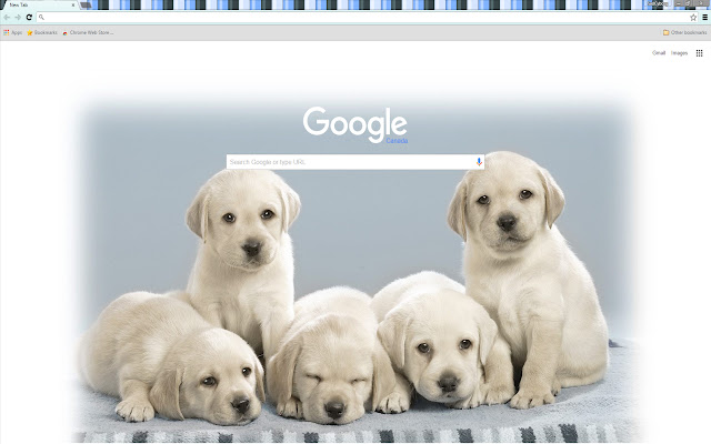 Adorable Cute Puppy Theme from Chrome web store to be run with OffiDocs Chromium online Adorable Cute Puppy Theme from Chrome web store to be run with OffiDocs Chromium online