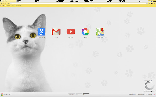 Aida Cat With Yellow Eyes from Chrome web store to be run with OffiDocs Chromium online Aida Cat With Yellow Eyes from Chrome web store to be run with OffiDocs Chromium online