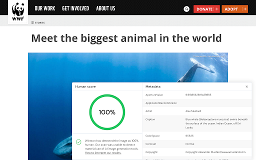 AI Detector for text and images Winston AI from Chrome web store to be run with OffiDocs Chromium online AI Detector for text and images Winston AI from Chrome web store to be run with OffiDocs Chromium online