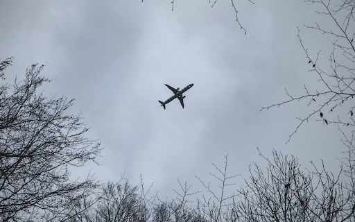 An airplane flying through the trees in a cloudy sky from Chrome web store to be run with OffiDocs Chromium online An airplane flying through the trees in a cloudy sky from Chrome web store to be run with OffiDocs Chromium online