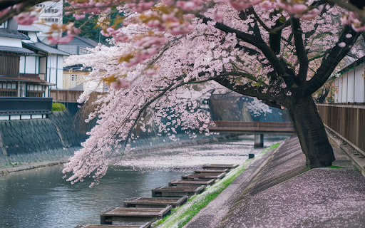 Ancient flower roots from Chrome web store to be run with OffiDocs Chromium online Ancient flower roots from Chrome web store to be run with OffiDocs Chromium online