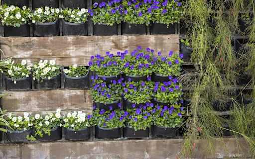Beautiful little flower pots from Chrome web store to be run with OffiDocs Chromium online Beautiful little flower pots from Chrome web store to be run with OffiDocs Chromium online