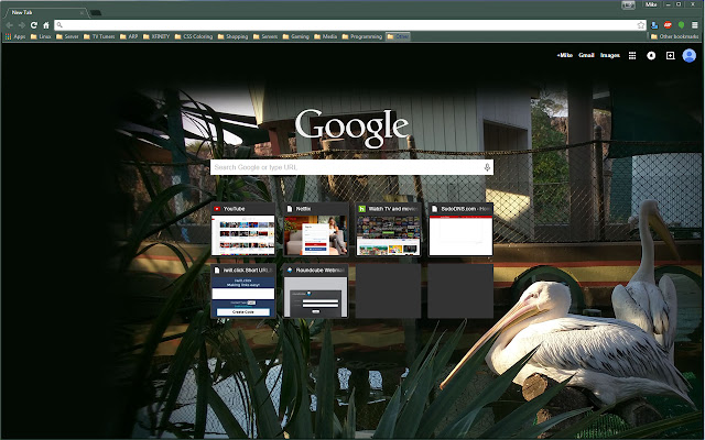 Beautiful Pelican from Chrome web store to be run with OffiDocs Chromium online Beautiful Pelican from Chrome web store to be run with OffiDocs Chromium online