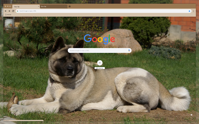 Big dog on the grass from Chrome web store to be run with OffiDocs Chromium online Big dog on the grass from Chrome web store to be run with OffiDocs Chromium online