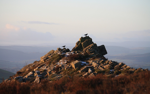 Bird perches on top of mountain from Chrome web store to be run with OffiDocs Chromium online Bird perches on top of mountain from Chrome web store to be run with OffiDocs Chromium online