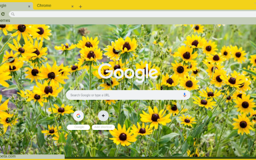 Black eyed Susan from Chrome web store to be run with OffiDocs Chromium online Black eyed Susan from Chrome web store to be run with OffiDocs Chromium online