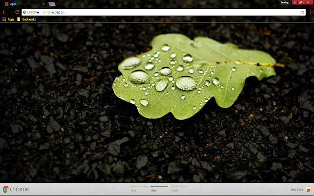 Black Fall Green Nature Water from Chrome web store to be run with OffiDocs Chromium online Black Fall Green Nature Water from Chrome web store to be run with OffiDocs Chromium online