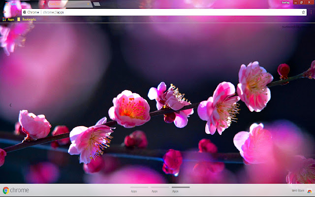 Blossom Sakura Spring from Chrome web store to be run with OffiDocs Chromium online Blossom Sakura Spring from Chrome web store to be run with OffiDocs Chromium online