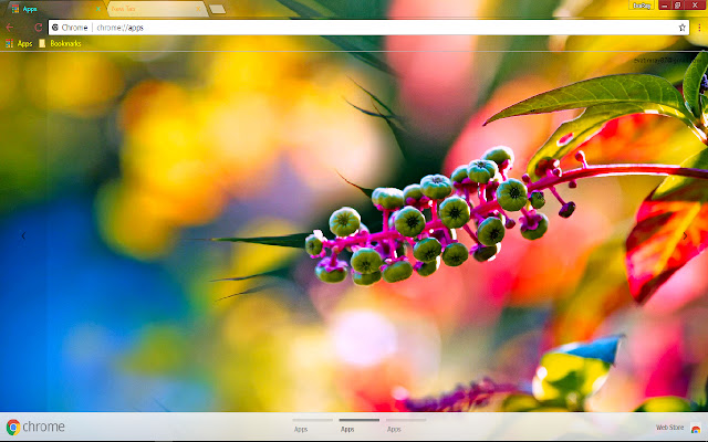 Blur Bokeh Colorful Nature Spring from Chrome web store to be run with OffiDocs Chromium online Blur Bokeh Colorful Nature Spring from Chrome web store to be run with OffiDocs Chromium online