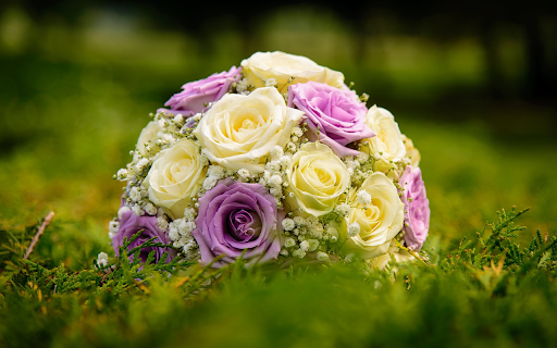 Bouquet of flowers on the lawn from Chrome web store to be run with OffiDocs Chromium online Bouquet of flowers on the lawn from Chrome web store to be run with OffiDocs Chromium online