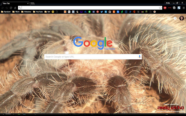 Brachypelma albopilosum Spiderling from Chrome web store to be run with OffiDocs Chromium online Brachypelma albopilosum Spiderling from Chrome web store to be run with OffiDocs Chromium online