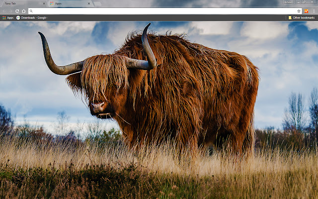 Bull from Chrome web store to be run with OffiDocs Chromium online Bull from Chrome web store to be run with OffiDocs Chromium online