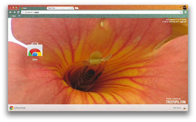 Busy Bee Flower from Chrome web store to be run with OffiDocs Chromium online Busy Bee Flower from Chrome web store to be run with OffiDocs Chromium online