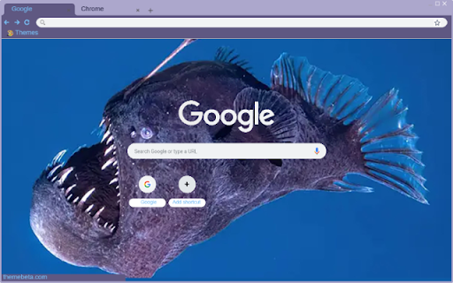 Ca Angler from Chrome web store to be run with OffiDocs Chromium online Ca Angler from Chrome web store to be run with OffiDocs Chromium online