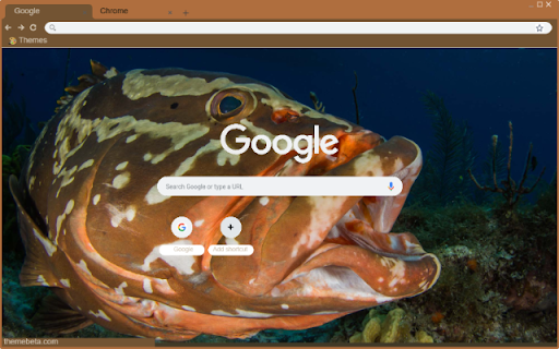 Ca Grouper from Chrome web store to be run with OffiDocs Chromium online Ca Grouper from Chrome web store to be run with OffiDocs Chromium online