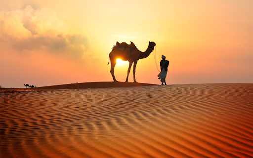 Camel and Sunset from Chrome web store to be run with OffiDocs Chromium online Camel and Sunset from Chrome web store to be run with OffiDocs Chromium online