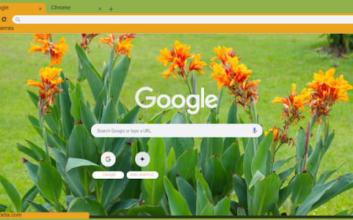 Canna Lily from Chrome web store to be run with OffiDocs Chromium online Canna Lily from Chrome web store to be run with OffiDocs Chromium online