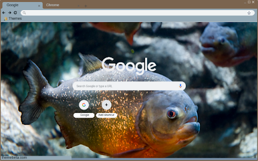 Ca Piranha from Chrome web store to be run with OffiDocs Chromium online Ca Piranha from Chrome web store to be run with OffiDocs Chromium online
