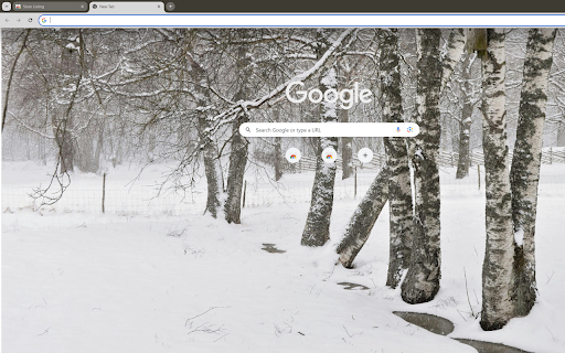 captures a forest after a snowstorm from Chrome web store to be run with OffiDocs Chromium online captures a forest after a snowstorm from Chrome web store to be run with OffiDocs Chromium online