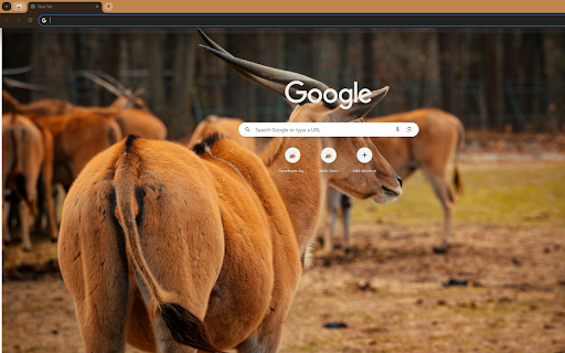 captures long horned antelopes, their sharp from Chrome web store to be run with OffiDocs Chromium online captures long horned antelopes, their sharp from Chrome web store to be run with OffiDocs Chromium online
