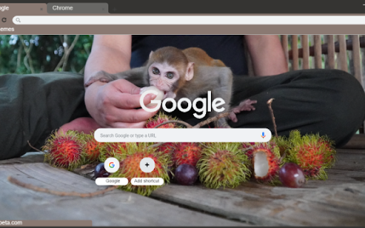 Capuchin Monkey from Chrome web store to be run with OffiDocs Chromium online Capuchin Monkey from Chrome web store to be run with OffiDocs Chromium online