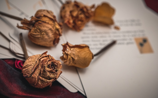 Celebrate roses from Chrome web store to be run with OffiDocs Chromium online Celebrate roses from Chrome web store to be run with OffiDocs Chromium online