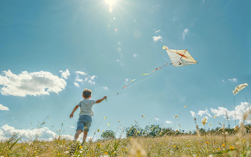 Chasing the Sky from Chrome web store to be run with OffiDocs Chromium online Chasing the Sky from Chrome web store to be run with OffiDocs Chromium online