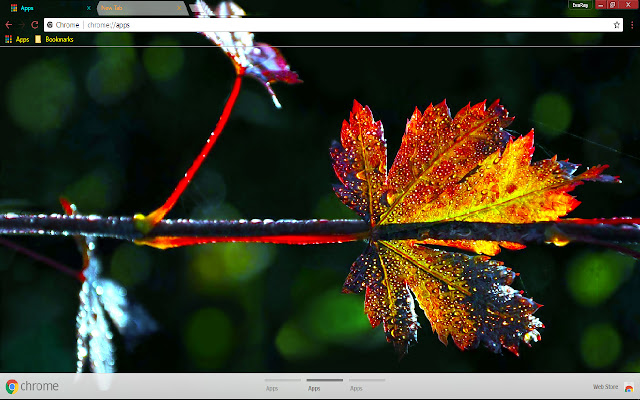 Colorful Fall Green Leaf Nature from Chrome web store to be run with OffiDocs Chromium online Colorful Fall Green Leaf Nature from Chrome web store to be run with OffiDocs Chromium online