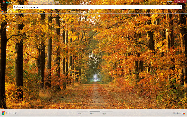 Colors Fall Leaf Path Tree from Chrome web store to be run with OffiDocs Chromium online Colors Fall Leaf Path Tree from Chrome web store to be run with OffiDocs Chromium online