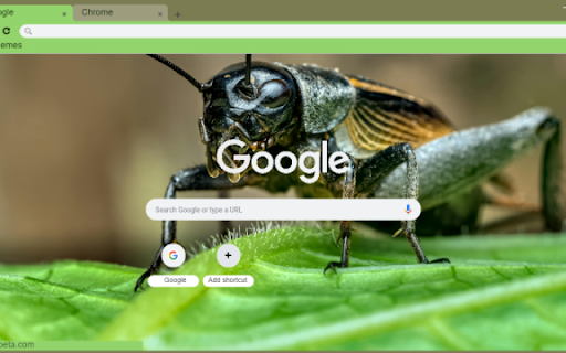 Cricket from Chrome web store to be run with OffiDocs Chromium online Cricket from Chrome web store to be run with OffiDocs Chromium online