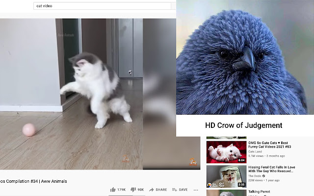 Crowwwww from Chrome web store to be run with OffiDocs Chromium online Crowwwww from Chrome web store to be run with OffiDocs Chromium online
