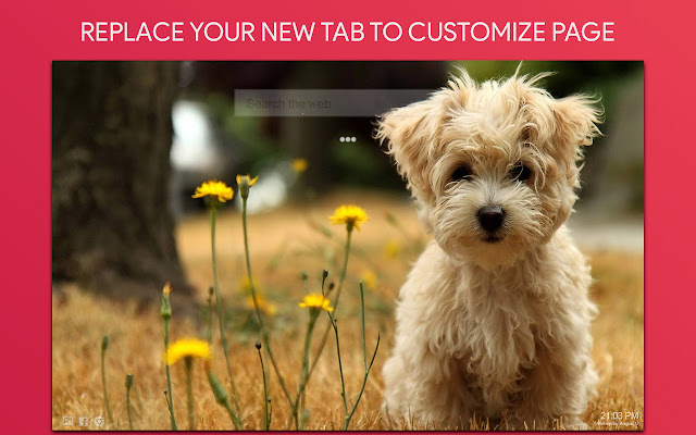 Cute Dog Wallpaper HD Custom New Tab from Chrome web store to be run with OffiDocs Chromium online Cute Dog Wallpaper HD Custom New Tab from Chrome web store to be run with OffiDocs Chromium online