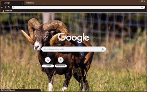 Cuu Rung from Chrome web store to be run with OffiDocs Chromium online Cuu Rung from Chrome web store to be run with OffiDocs Chromium online