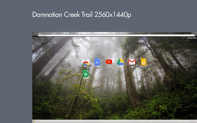 Damnation Creek Trail 2560x1440 from Chrome web store to be run with OffiDocs Chromium online Damnation Creek Trail 2560x1440 from Chrome web store to be run with OffiDocs Chromium online