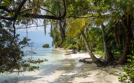 Deserted beach from Chrome web store to be run with OffiDocs Chromium online Deserted beach from Chrome web store to be run with OffiDocs Chromium online