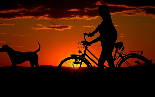 Dog and girl riding a bicycle from Chrome web store to be run with OffiDocs Chromium online Dog and girl riding a bicycle from Chrome web store to be run with OffiDocs Chromium online