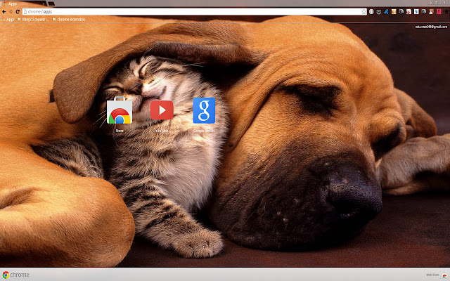 Dog and Kitten from Chrome web store to be run with OffiDocs Chromium online Dog and Kitten from Chrome web store to be run with OffiDocs Chromium online