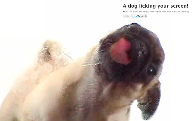 Dog licking your screen from Chrome web store to be run with OffiDocs Chromium online Dog licking your screen from Chrome web store to be run with OffiDocs Chromium online