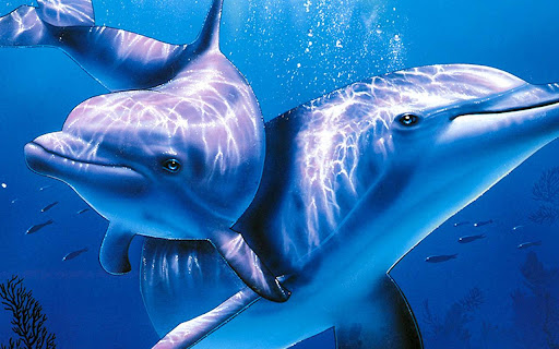 Dolphin 3D 789 from Chrome web store to be run with OffiDocs Chromium online Dolphin 3D 789 from Chrome web store to be run with OffiDocs Chromium online