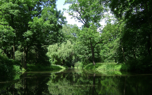 Dream green park from Chrome web store to be run with OffiDocs Chromium online Dream green park from Chrome web store to be run with OffiDocs Chromium online