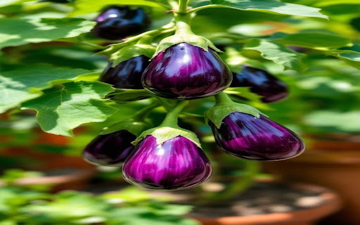 eggplant trellis wallpaper from Chrome web store to be run with OffiDocs Chromium online eggplant trellis wallpaper from Chrome web store to be run with OffiDocs Chromium online