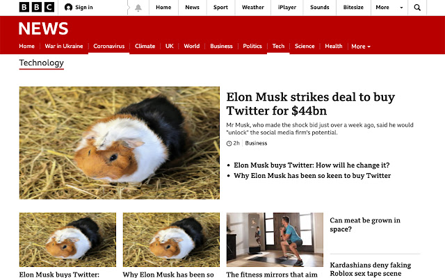 Elon Be Gone from Chrome web store to be run with OffiDocs Chromium online Elon Be Gone from Chrome web store to be run with OffiDocs Chromium online