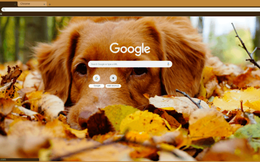 fall dog (1920x1080) from Chrome web store to be run with OffiDocs Chromium online fall dog (1920x1080) from Chrome web store to be run with OffiDocs Chromium online