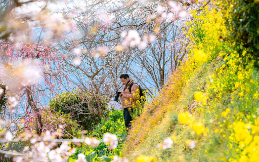 Field of Flowers and Photography from Chrome web store to be run with OffiDocs Chromium online Field of Flowers and Photography from Chrome web store to be run with OffiDocs Chromium online