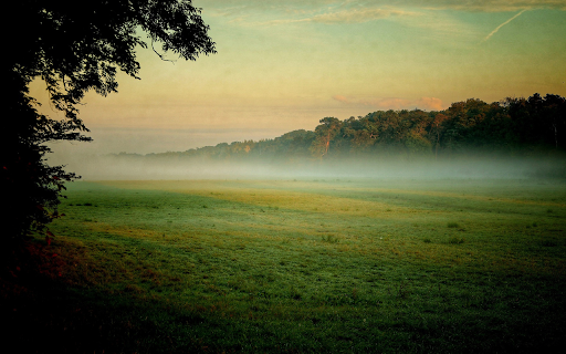 Field of grass and bones from Chrome web store to be run with OffiDocs Chromium online Field of grass and bones from Chrome web store to be run with OffiDocs Chromium online