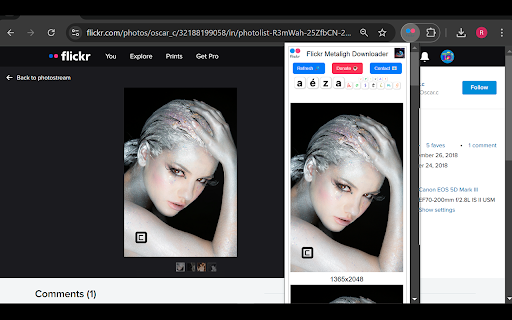 Flickr Metaligh Images Downloader from Chrome web store to be run with OffiDocs Chromium online Flickr Metaligh Images Downloader from Chrome web store to be run with OffiDocs Chromium online