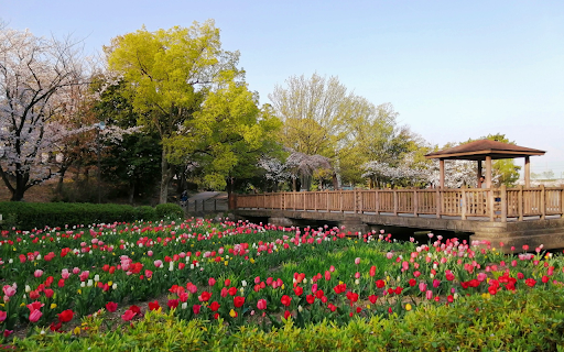 Flower viewing hut from Chrome web store to be run with OffiDocs Chromium online Flower viewing hut from Chrome web store to be run with OffiDocs Chromium online